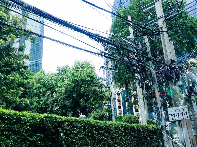電柱に絡まる大量の電線と都市の街路樹